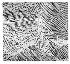 Algunas micrografias observadas (La información de la muestra es confidencial).